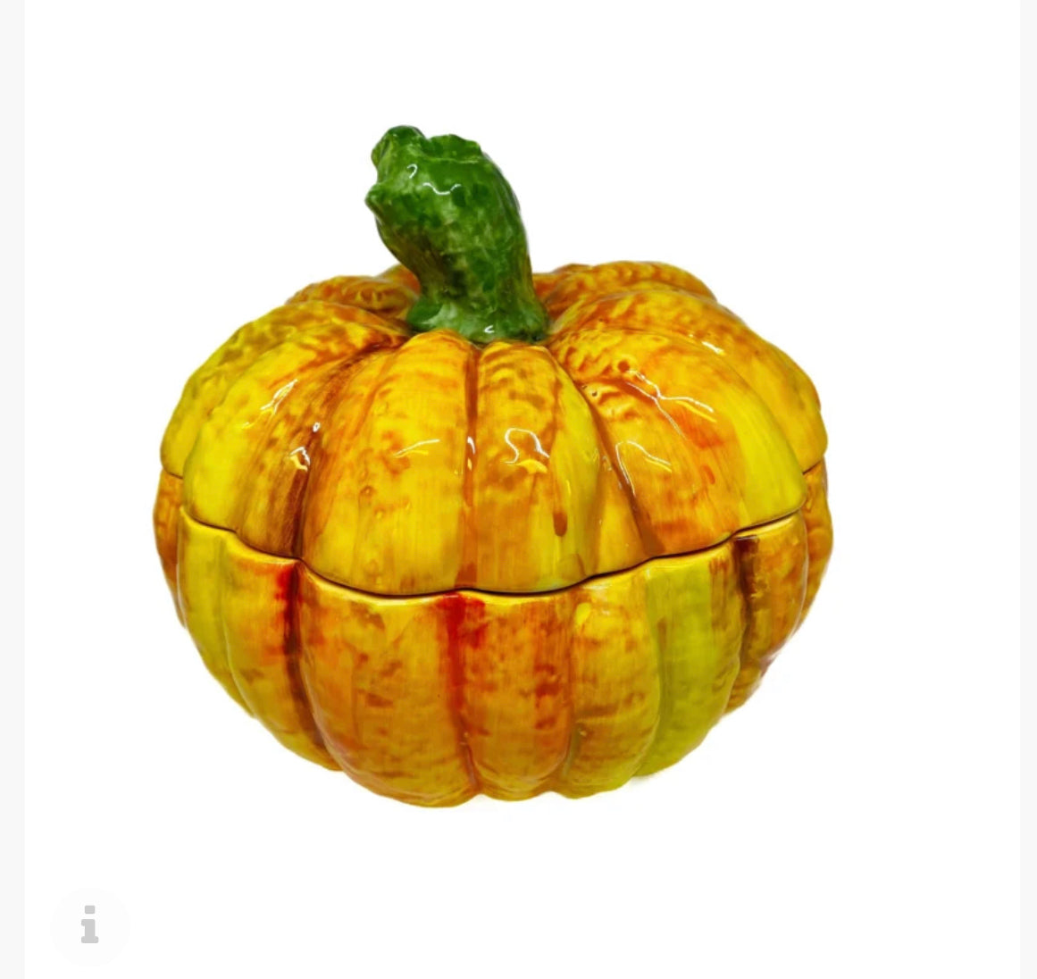 Herfst collectie grote pompoen met deksel