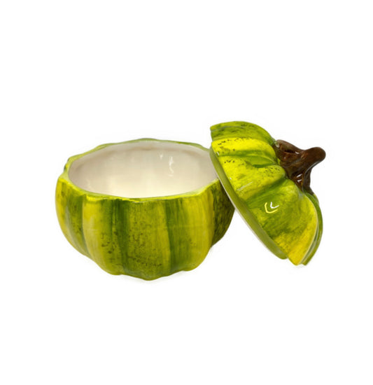 Herfst collectie groene pompoen met deksel