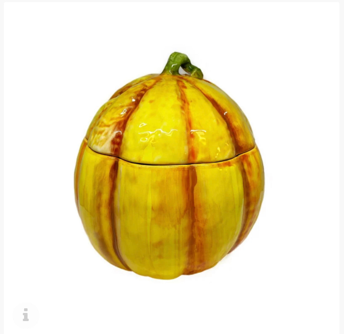 Herfst collectie grote pompoen met deksel