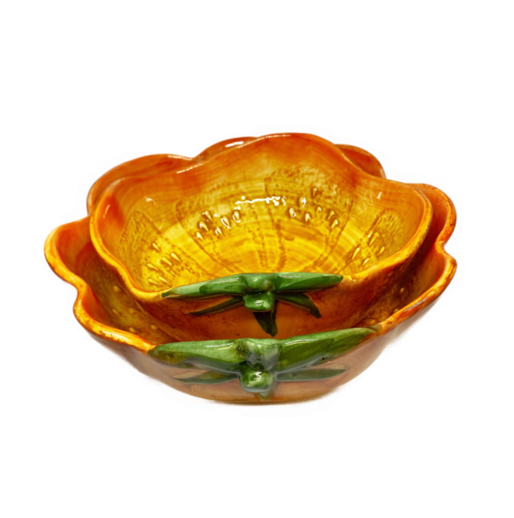 Herfst collectie kom pompoen